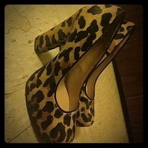 ***BArgain****Steve Madden Animal print heels